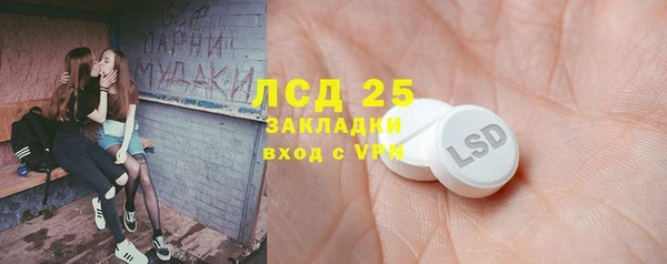 прущие грибы Алзамай