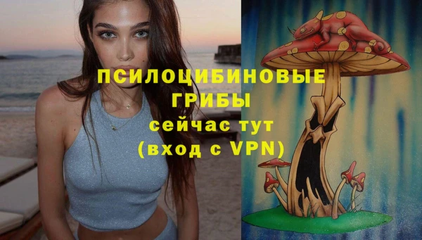 ГАЛЛЮЦИНОГЕННЫЕ ГРИБЫ Армянск