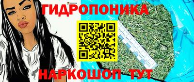 сатива Кимры