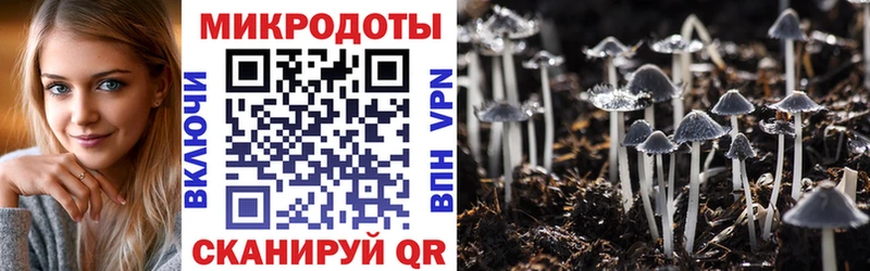 Галлюциногенные грибы MAGIC MUSHROOMS  Краснознаменск 