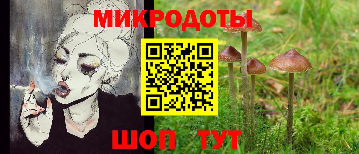 Галлюциногенные грибы GOLDEN TEACHER Краснознаменск