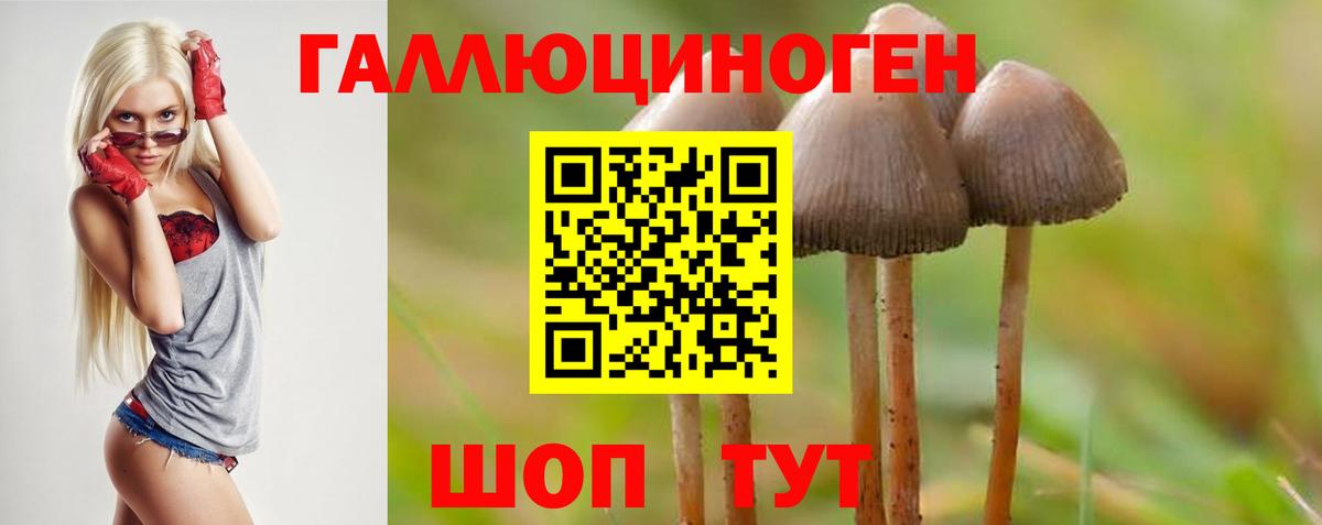 Галлюциногенные грибы MAGIC MUSHROOMS  Вход с VPN  Краснознаменск  Галлюциногенные грибы Magic Shrooms 